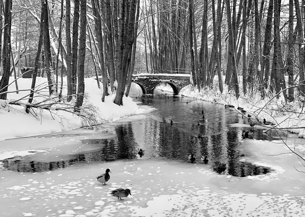 Photograph by Надежда Смирнова