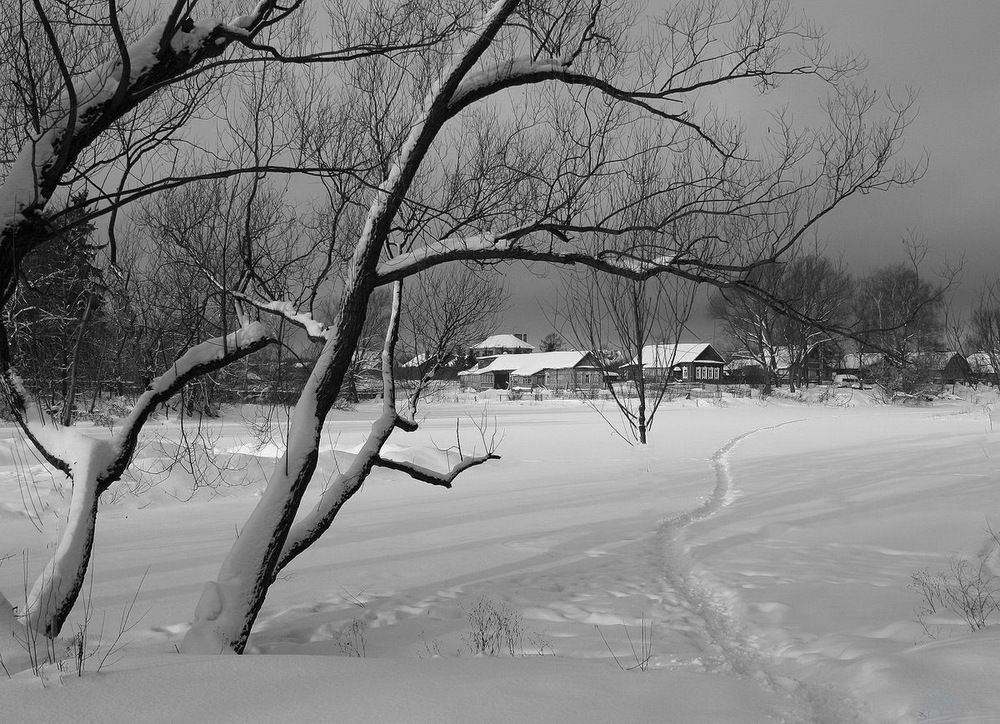 Photograph by Наталья Задерновская