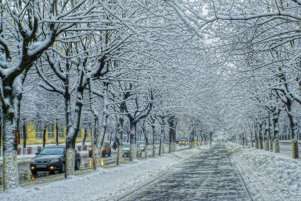 Photograph by Людмила ЧЕРНИКОВА