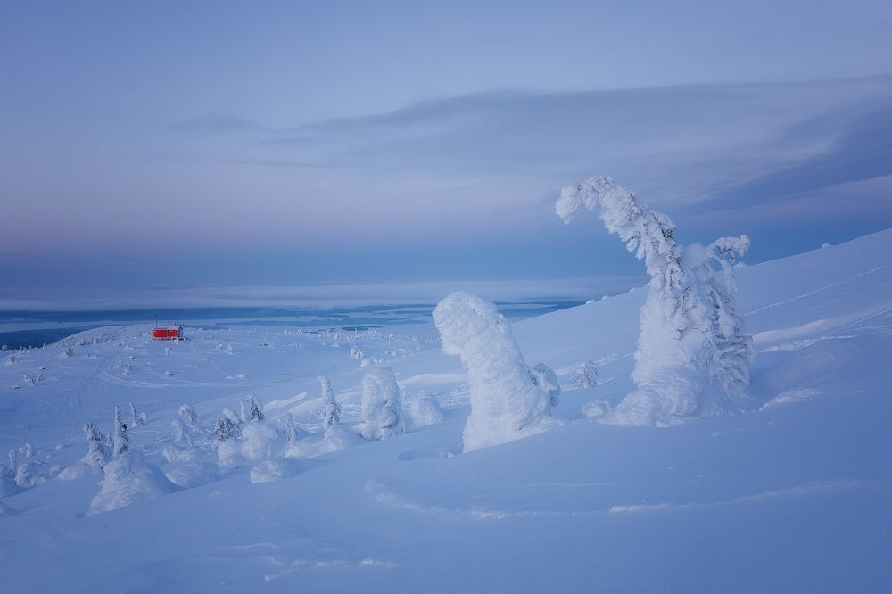 Photograph by Marina Sorokina