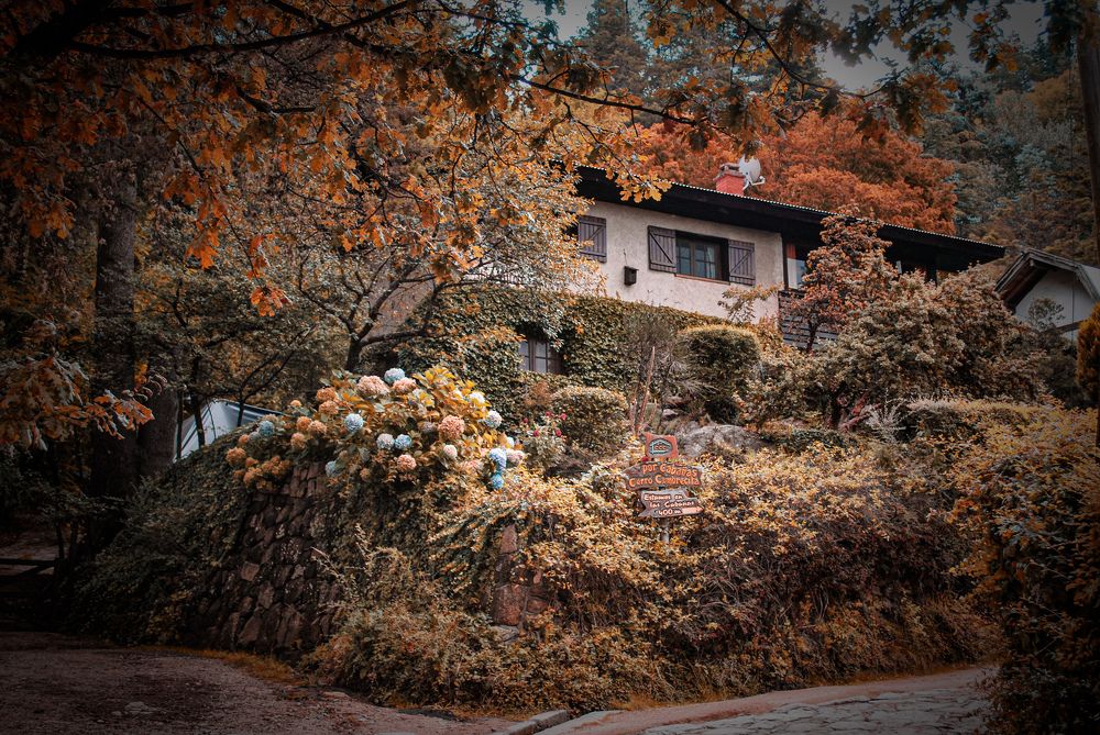 Photograph by Silvina Sánchez