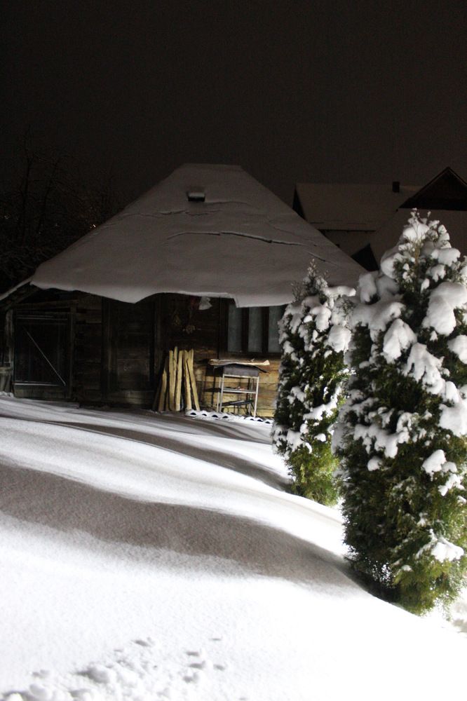 Photograph by Catalina Sirbu