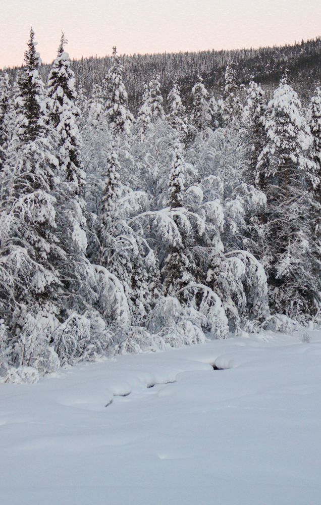 Photograph by Екатерина Михеева