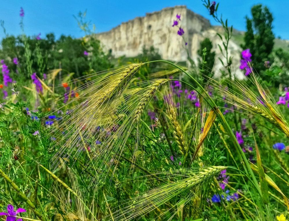 Photograph by Лариса Когтева