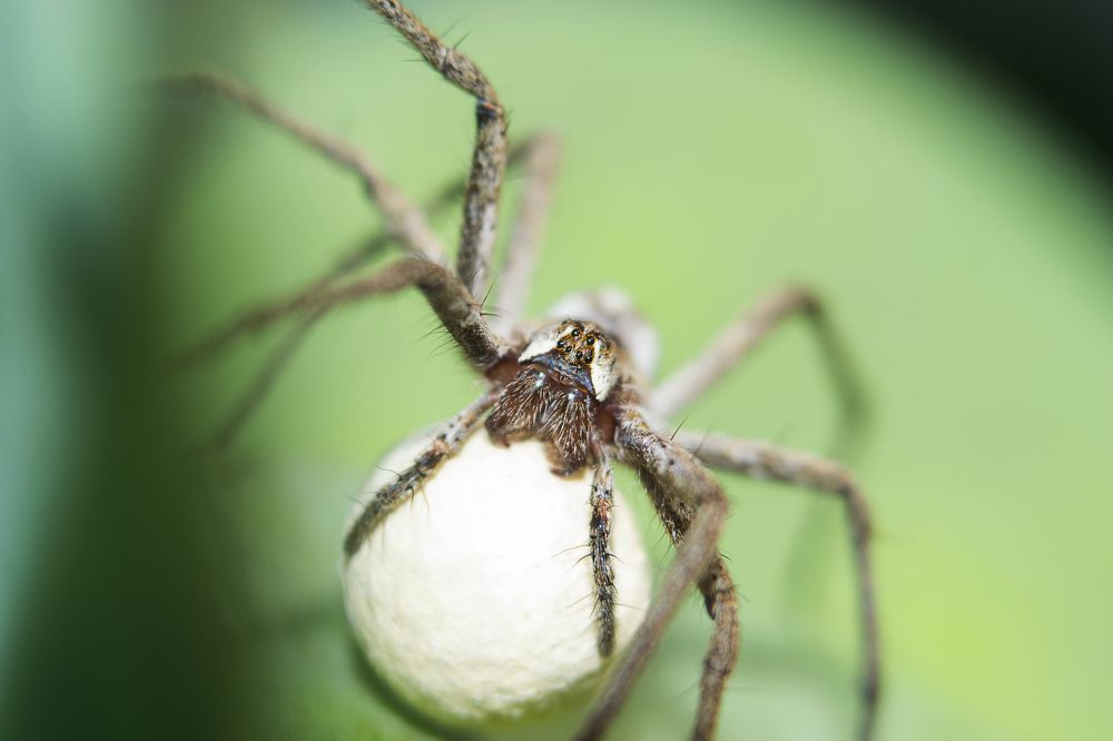 Photograph by Ольга Гоглова