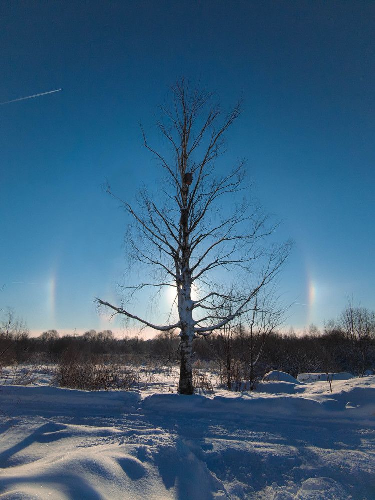 Photograph by Алексей Худяков