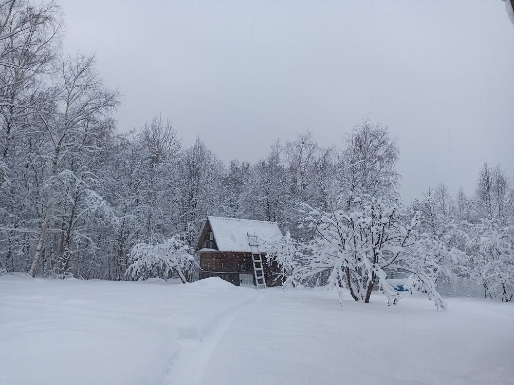 Photograph by Ирина Чагина