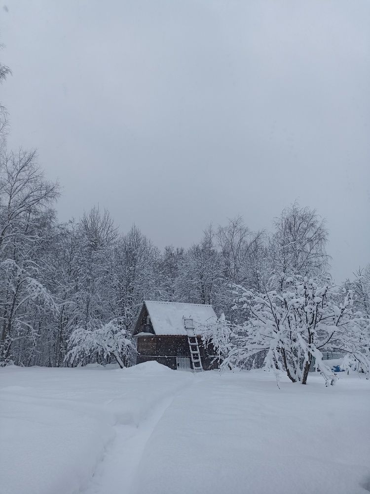 Photograph by Ирина Чагина