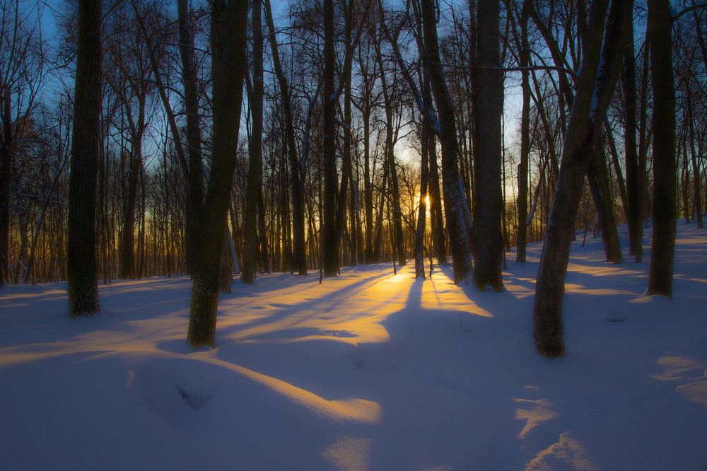 Фотография автора Ирина Гриценко