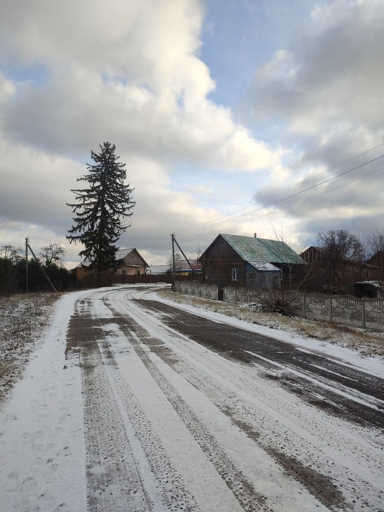 Фотография автора Татьяна Могилевец