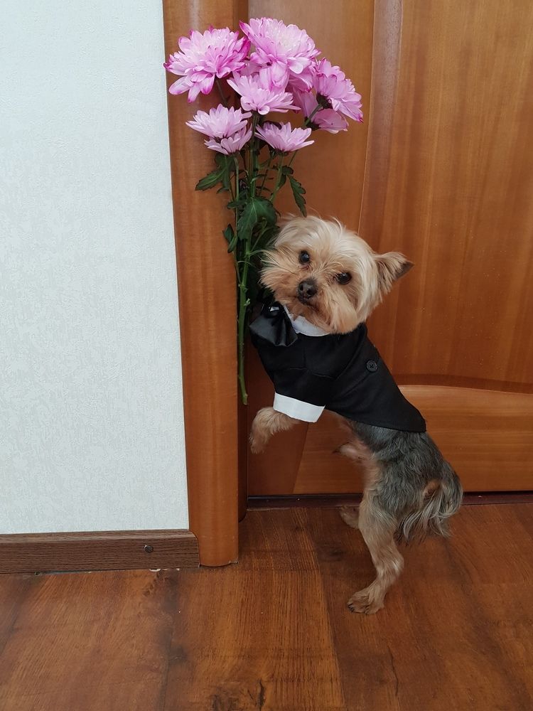 Photograph by Марина Стародуб