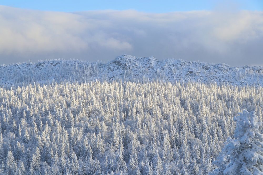 Фотография автора Анатолий Нифантов