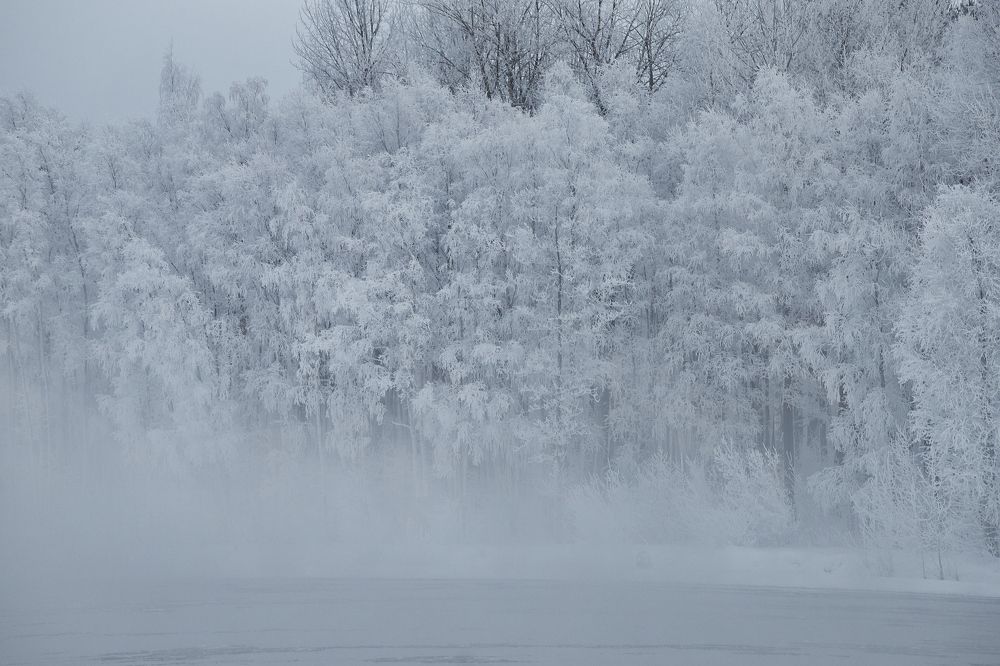 Photograph by Дмитрий Лепаков