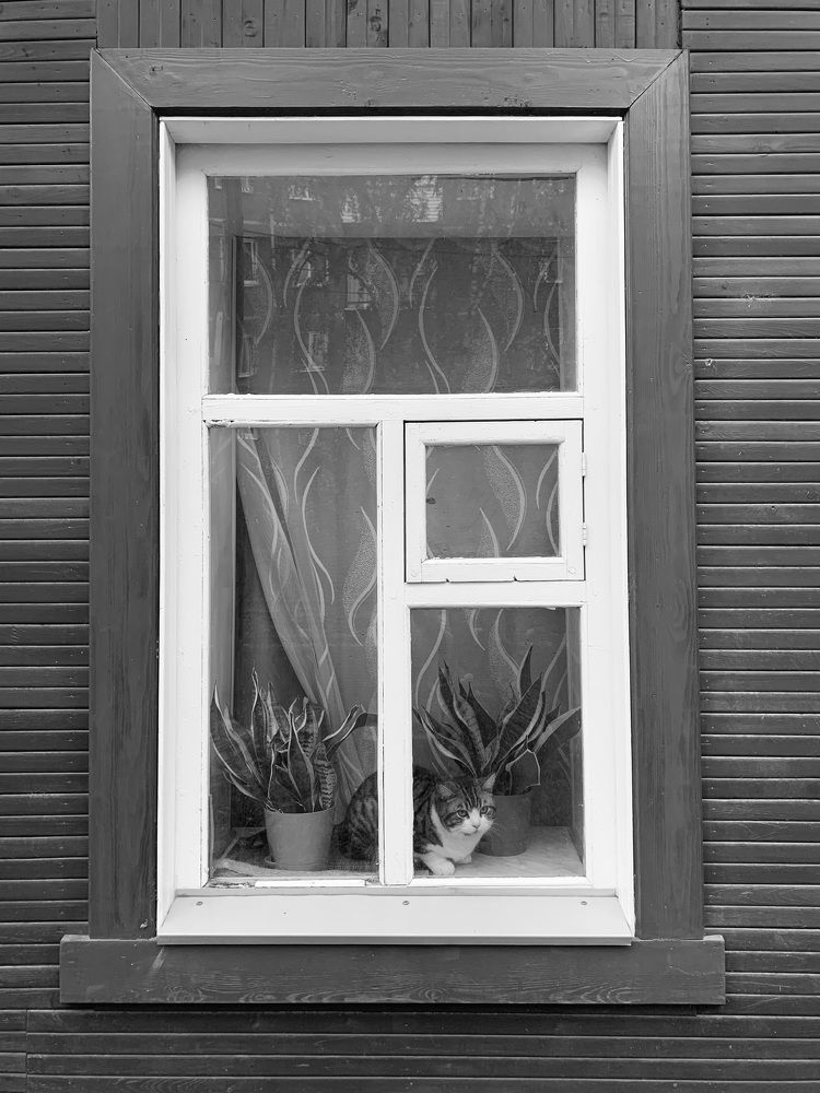Photograph by Юлия Дубино