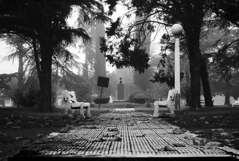 Photograph by Ricardo Kimmich