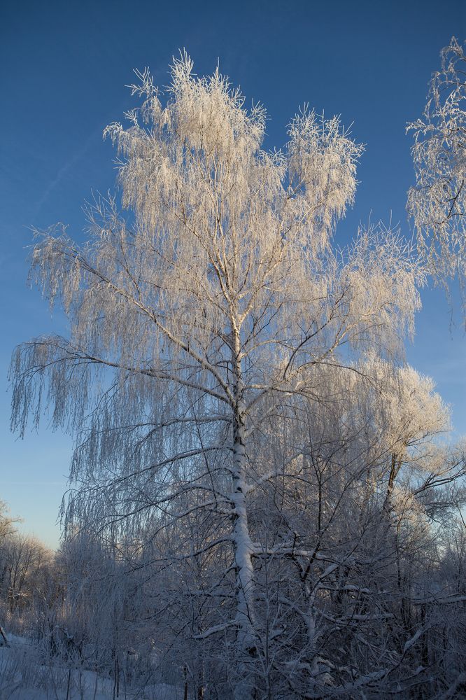 Photograph by Вячеслав