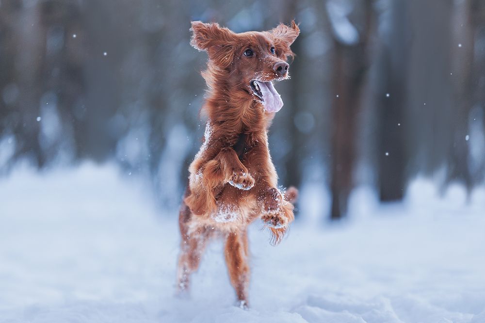 Photograph by Шитиков Владимир