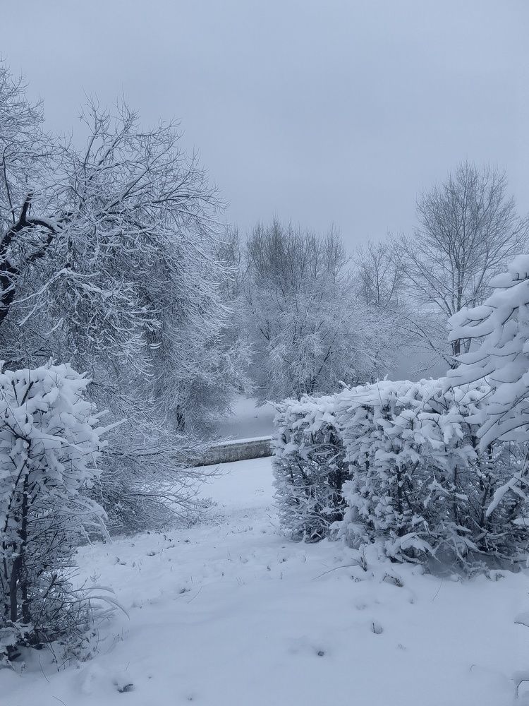 Photograph by Nadin Gaaze