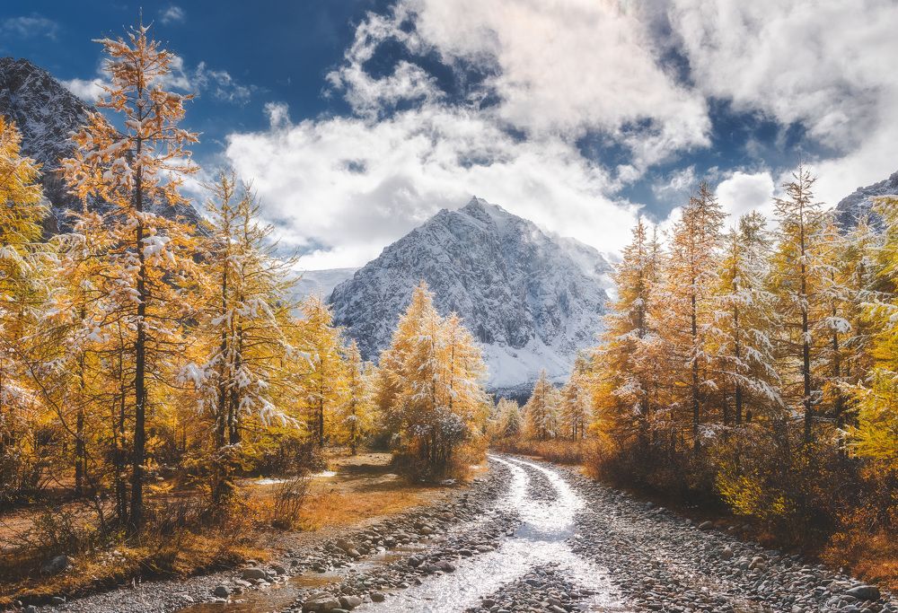 Photograph by Антон Агарков