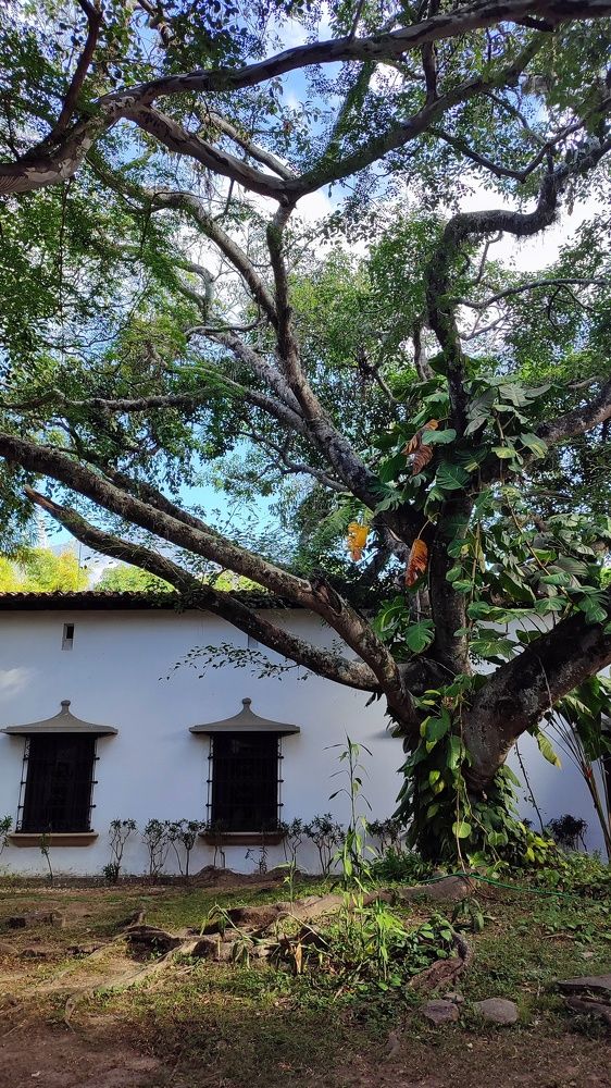 Photograph by nileydi Colmenarez