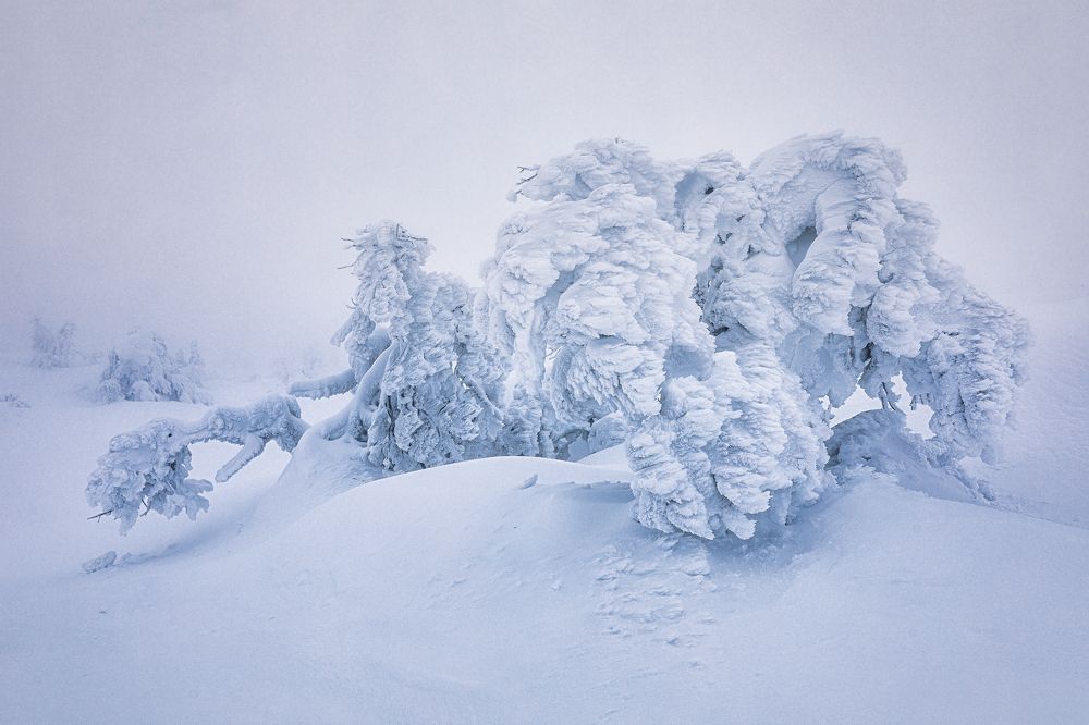 Photograph by Marina Sorokina