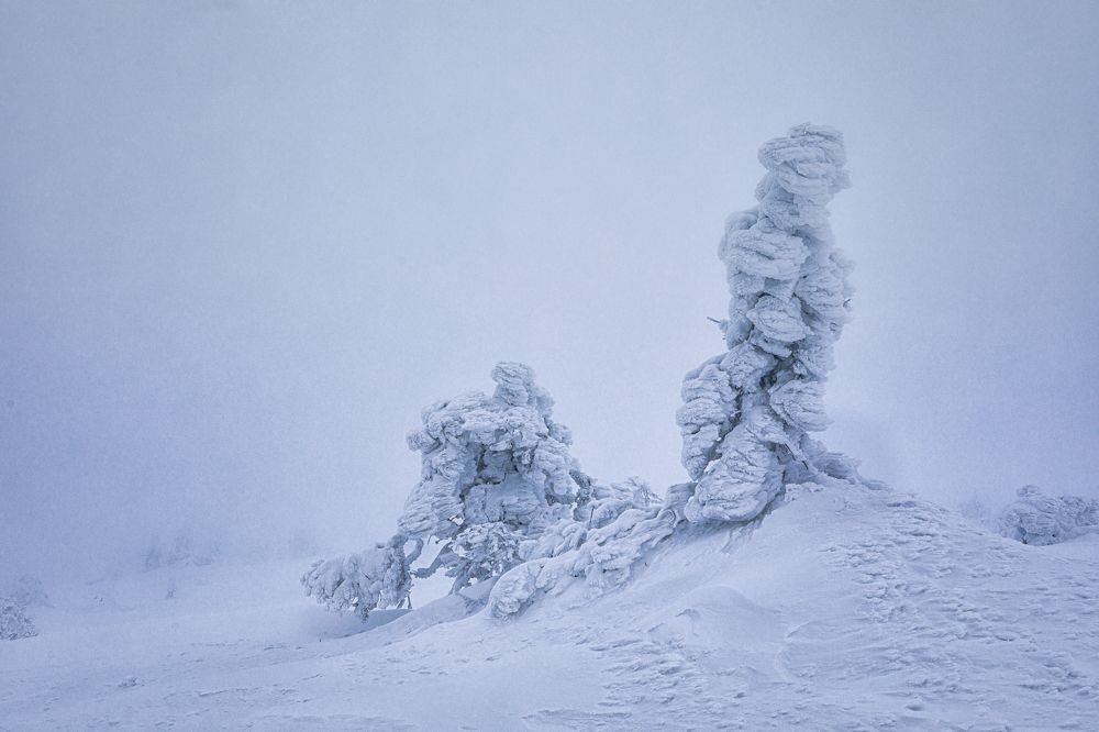 Photograph by Marina Sorokina