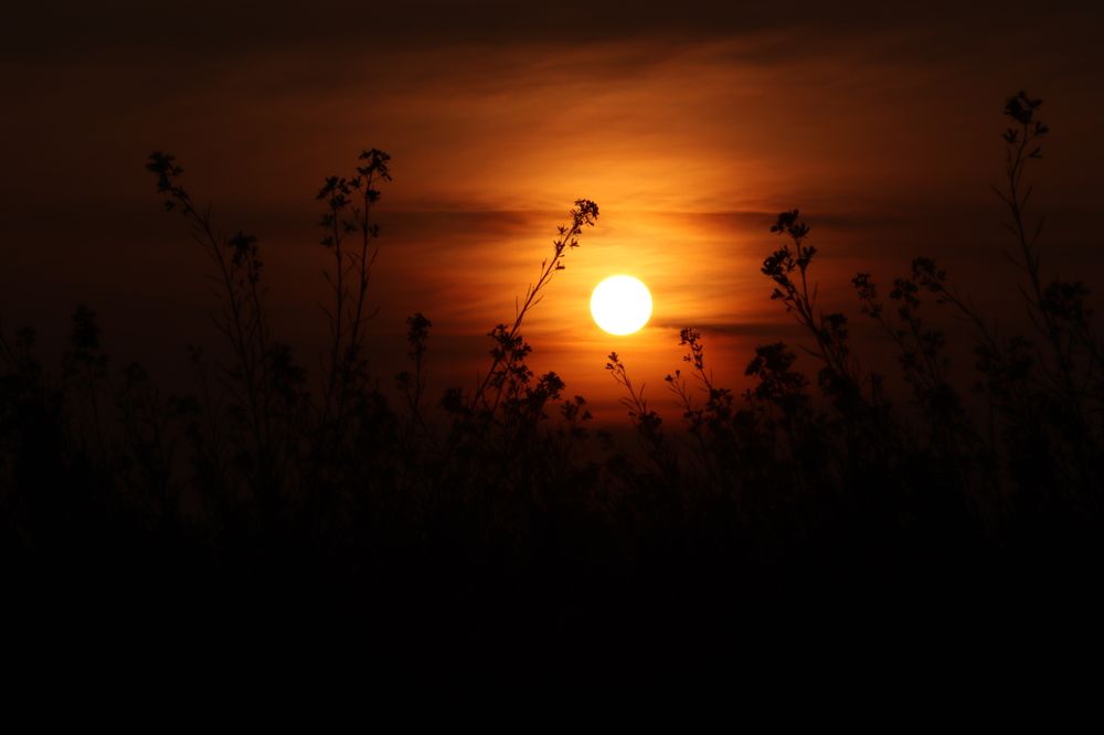 Photograph by Mohit vats