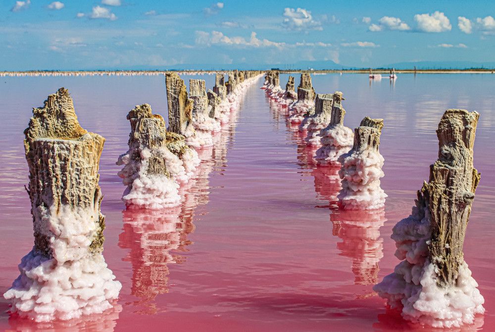 Photograph by Дмитрий Свинухов