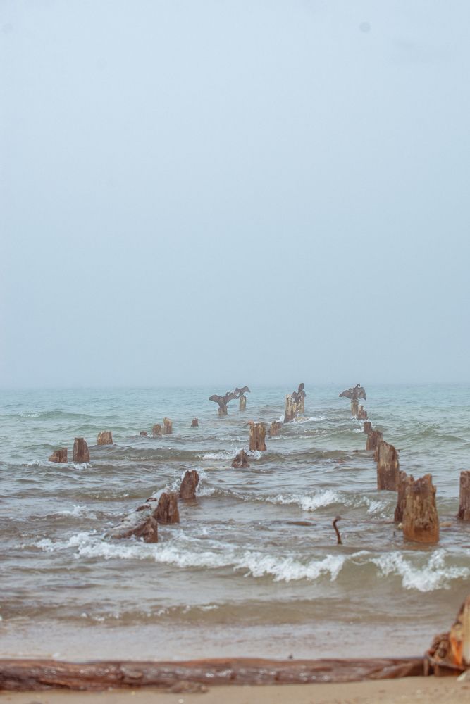 Photograph by Аурика Митеску