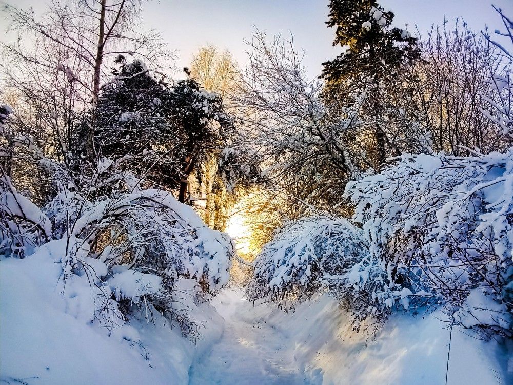 Photograph by Сергей Кочнев