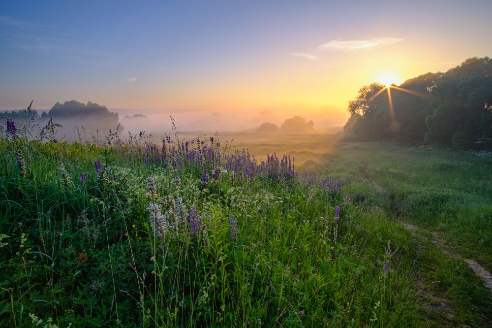 Photograph by Александр Корженков