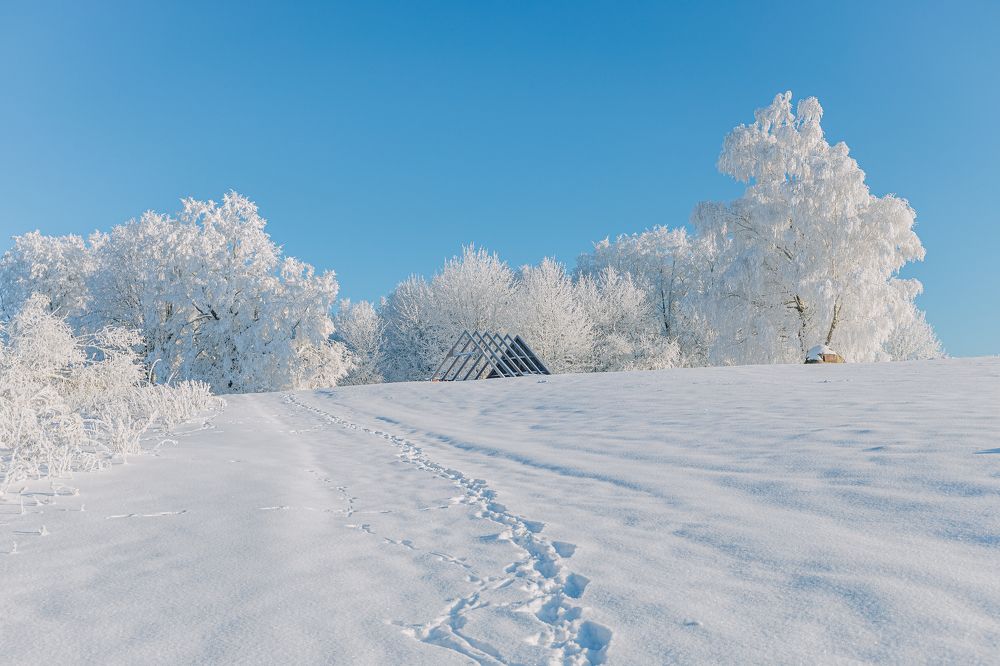 Photograph by Ligita Kluga