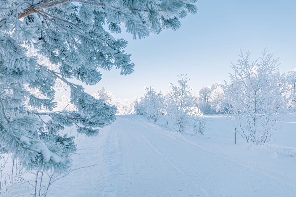 Photograph by Ligita Kluga