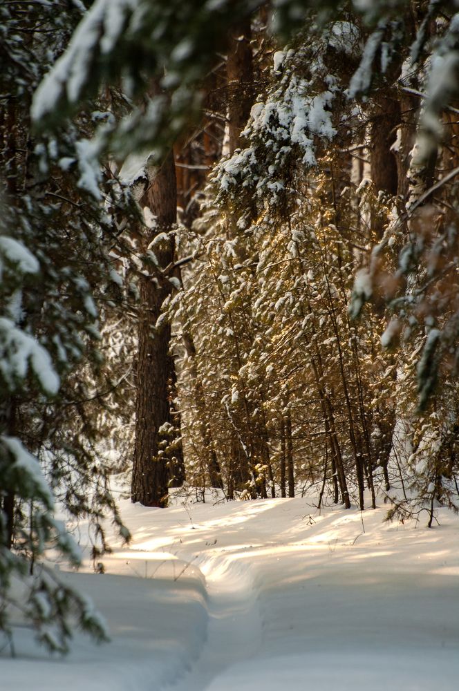 Photograph by Андрей Жучков