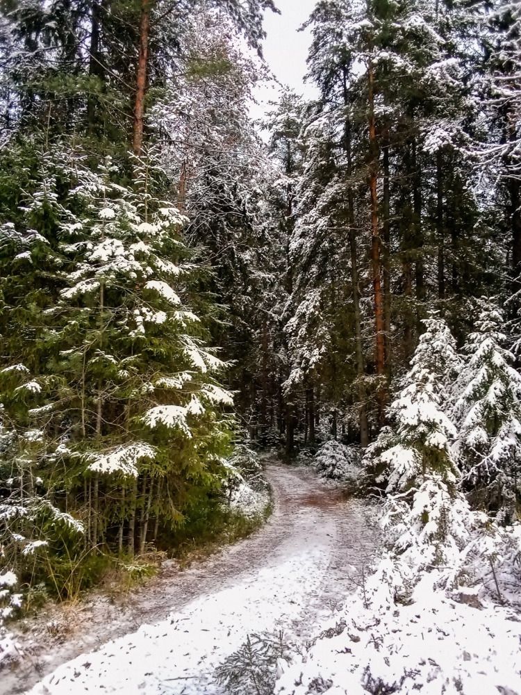 Photograph by Сергей Кочнев