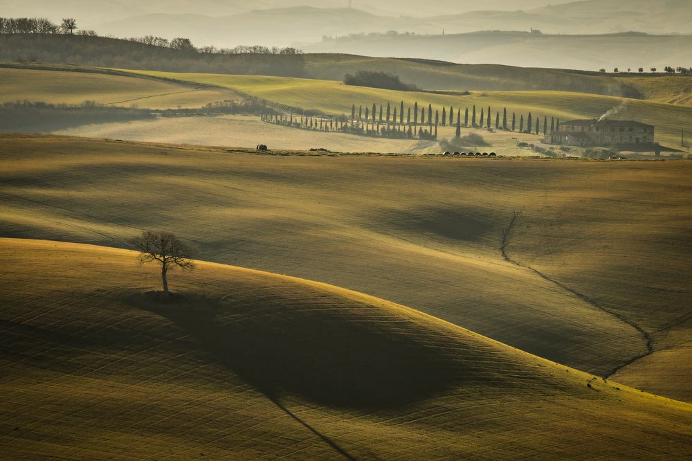 Photograph by Agnieszka Wieczorek