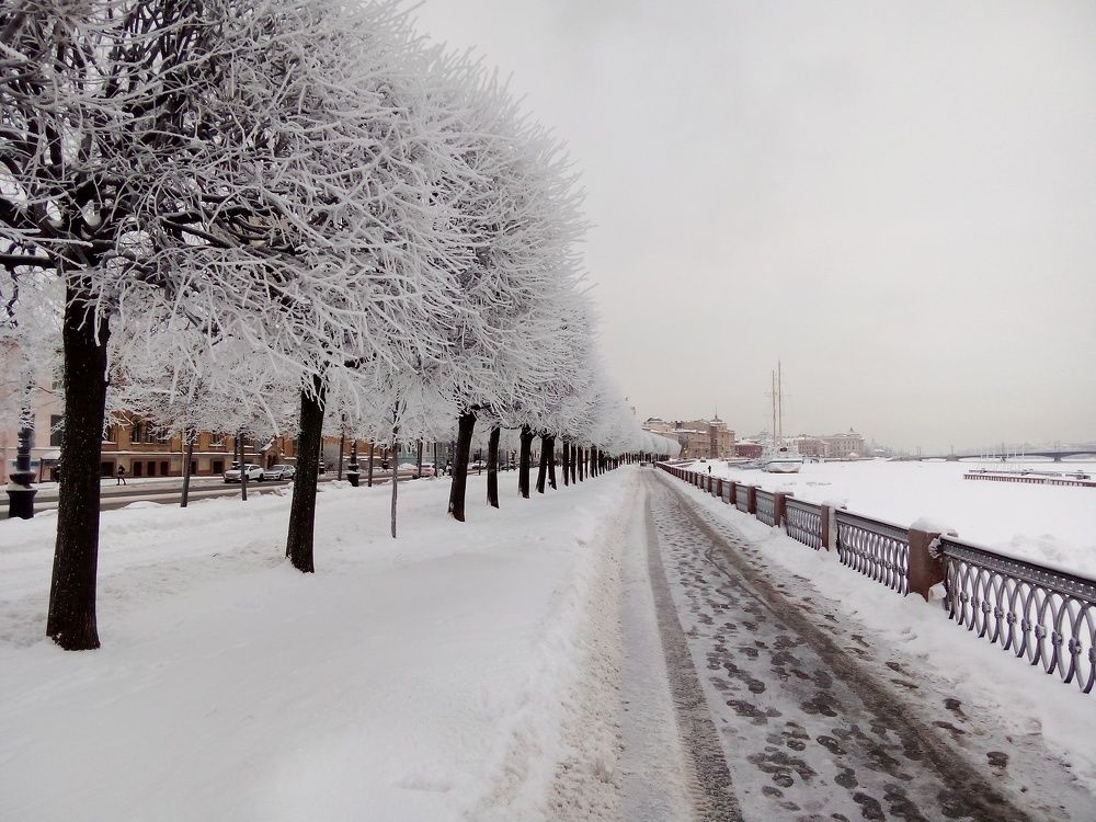 Фотография автора Юрий Цыркунов