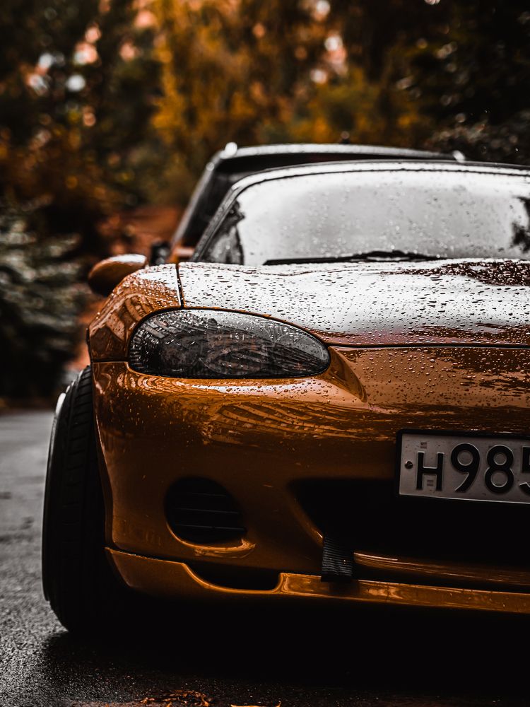 Photograph by Илья И