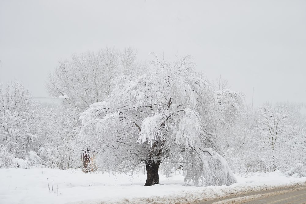 Photograph by Татьяна Литвинова