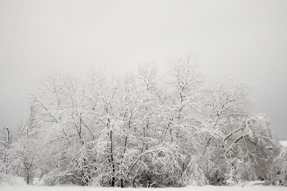 Photograph by Татьяна Литвинова