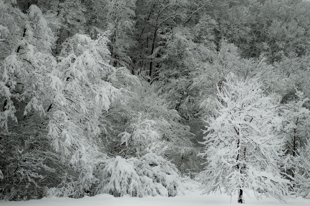 Photograph by Татьяна Литвинова