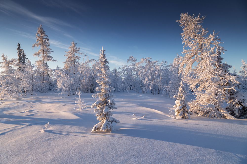 Photograph by Евгений Кужилев