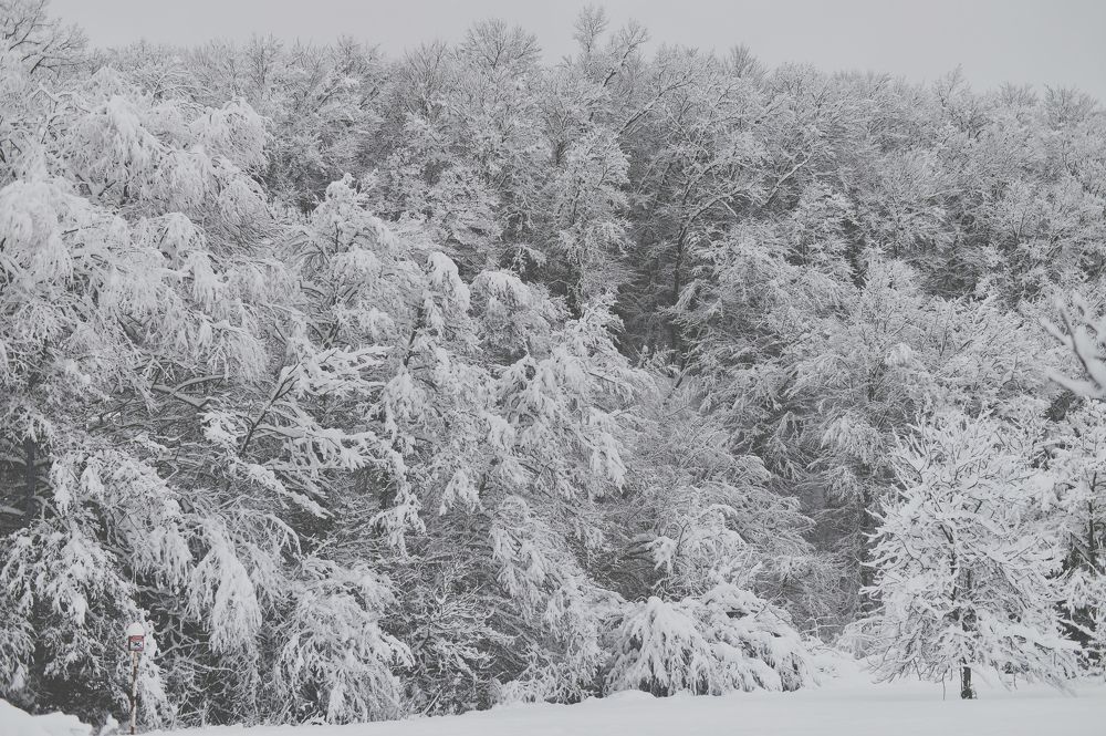 Photograph by Татьяна Литвинова