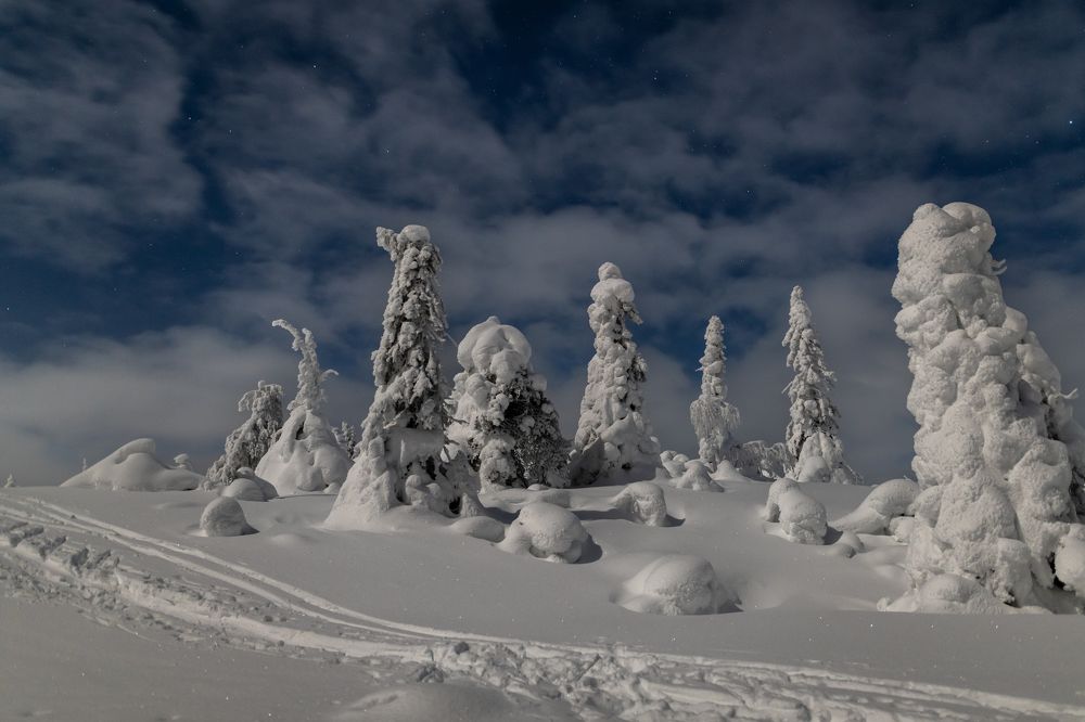 Фотография автора Katrin Lillenthal