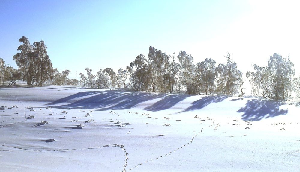 Photograph by Наталья Анисимова