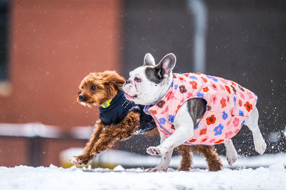 Photograph by Agnieszka Wieczorek