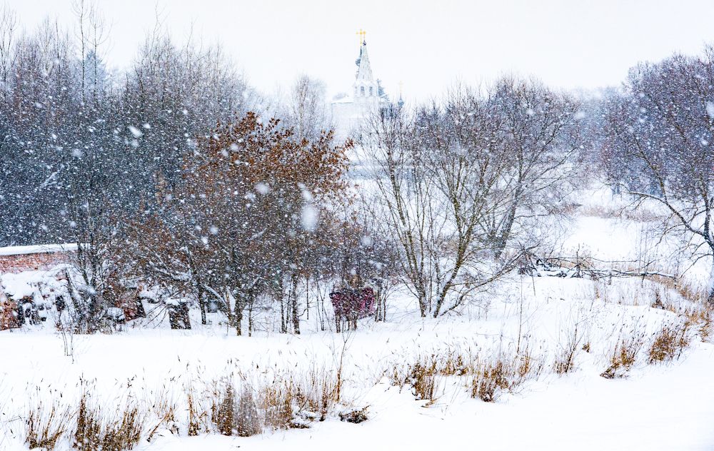 Photograph by Галина Аскольдовна Луковникова