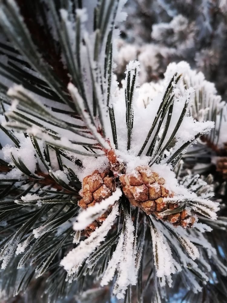 Photograph by Татьяна Бешенкина