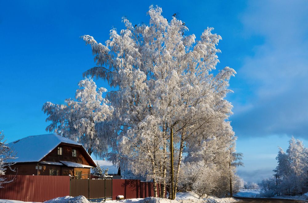 Photograph by Михаил Бояркин