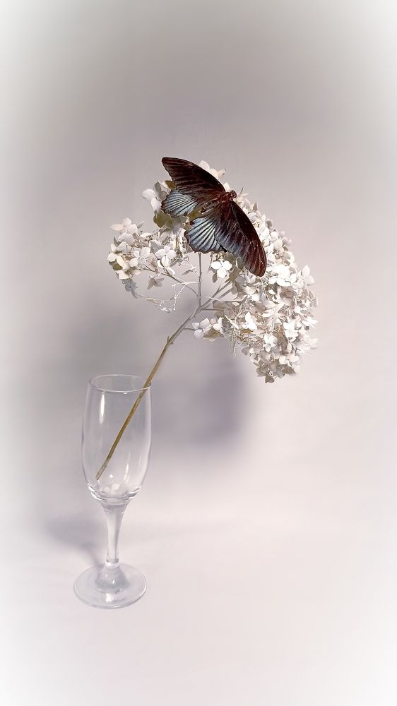 Photograph by Олеся Лосыгина